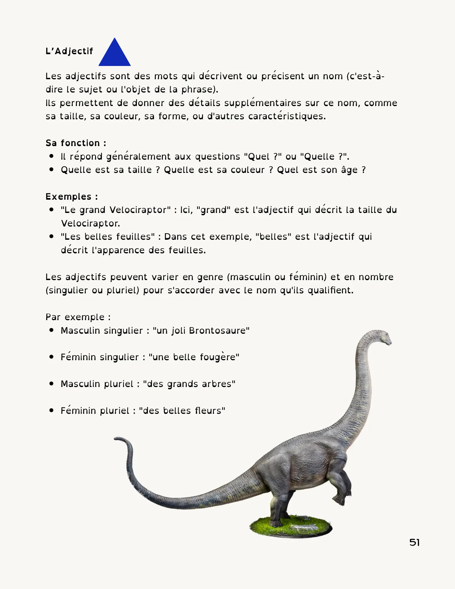 Page 51
